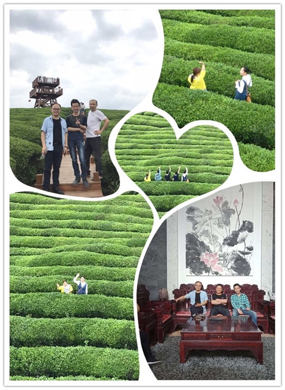 蓮花之行5_副本 蓮花之行5_副本