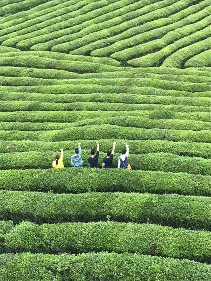 蓮花之行2_副本 蓮花之行2_副本